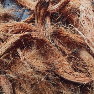 Inspirasi Pagar Tanaman Alami dari Jaring Sabut Kelapa untuk Estetika Taman dan Perlindungan Lingkungan